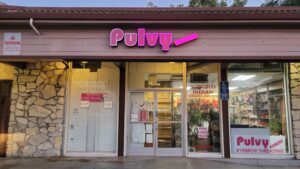 Celebrate Halloween in Style: Elegant Indian Fashion & Beauty at Pulvy Boutiques, San Jose